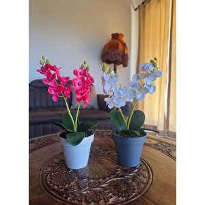 Yapay Çiçek Krem Saksıda Mini Orkide 2 Adet Beyaz Ve Fuşya Renk 28cm