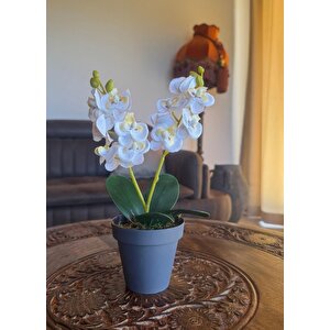 Yapay Çiçek Krem Saksıda Mini Orkide 2 Adet Beyaz Ve Fuşya Renk 28cm