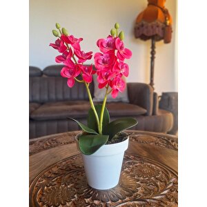 Yapay Çiçek Krem Saksıda Mini Orkide 2 Adet Beyaz Ve Fuşya Renk 28cm