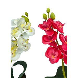 Yapay Çiçek Krem Saksıda Mini Orkide 2 Adet Beyaz Ve Fuşya Renk 28cm