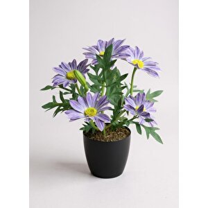 Yapay Çiçek Mor Margarit Papatya Siyah Saksıda Dekoratif Yapay Çiçek 30*25cm