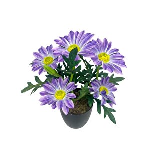 Yapay Çiçek Mor Margarit Papatya Siyah Saksıda Dekoratif Yapay Çiçek 30*25cm