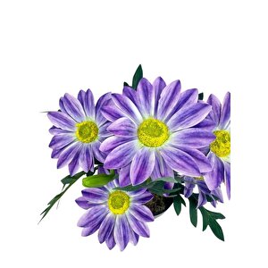 Yapay Çiçek Mor Margarit Papatya Siyah Saksıda Dekoratif Yapay Çiçek 30*25cm