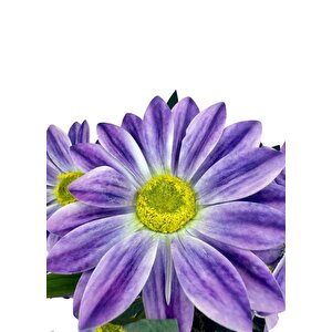 Yapay Çiçek Mor Margarit Papatya Siyah Saksıda Dekoratif Yapay Çiçek 30*25cm