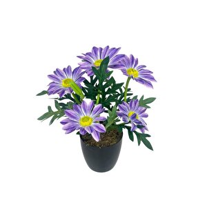 Yapay Çiçek Mor Margarit Papatya Siyah Saksıda Dekoratif Yapay Çiçek 30*25cm