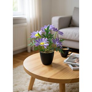 Yapay Çiçek Mor Margarit Papatya Siyah Saksıda Dekoratif Yapay Çiçek 30*25cm