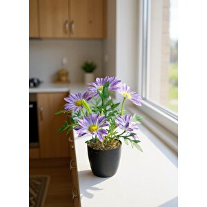 Yapay Çiçek Mor Margarit Papatya Siyah Saksıda Dekoratif Yapay Çiçek 30*25cm