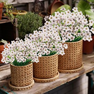 12li Set Yapay Çiçek Sazlı Mine Beyaz Renk 5 Dallı 33cm