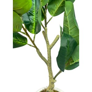 Yapay Ağaç Kauçuk Ağacı Beyaz Küre Saksıda 100*50cm