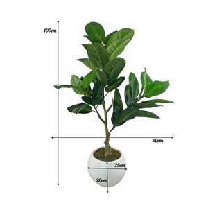 Yapay Ağaç Kauçuk Ağacı Beyaz Küre Saksıda 100*50cm