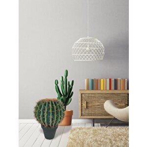 Yapay Çiçek Echinocactus Grusonii Altın Fıçı Kaktüs Siyah Saksıda 35*25m Cactüs  Sk4010s