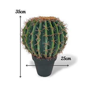 Yapay Çiçek Echinocactus Grusonii Altın Fıçı Kaktüs Siyah Saksıda 35*25m Cactüs  Sk4010s