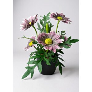 Yapay Çiçek Mürdüm Margarit Papatya Siyah Saksıda Dekoratif Yapay Çiçek 30*25cm