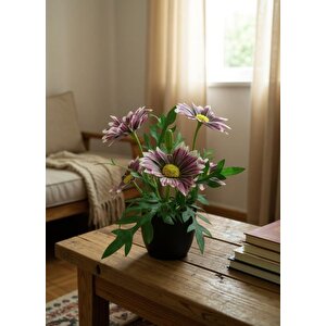 Yapay Çiçek Mürdüm Margarit Papatya Siyah Saksıda Dekoratif Yapay Çiçek 30*25cm