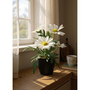Yapay Çiçek Beyaz Margarit Papatya Siyah Saksıda Dekoratif Yapay Çiçek 30*25cm