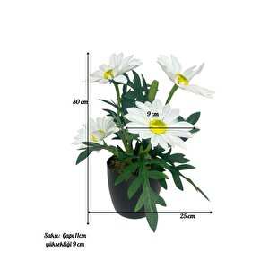 Yapay Çiçek Beyaz Margarit Papatya Siyah Saksıda Dekoratif Yapay Çiçek 30*25cm