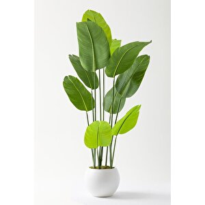 Yapay Starliçe Ağacı 160 Cm Geniş Yapraklı Plastik Küre Saksı