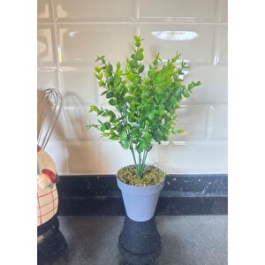 4lü Set Yapay Çiçek Mini Saksıda Yeşil Bitkiler 30cm