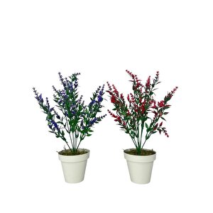 Yapay Çiçek Krem Saksıda 2 Adet Lavanta Mor Ve Kırmızı Renk 28cm