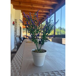 Yapay Çiçek Krem Saksıda 2 Adet Lavanta Mor Ve Kırmızı Renk 28cm