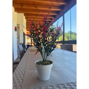 Yapay Çiçek Krem Saksıda 2 Adet Lavanta Mor Ve Kırmızı Renk 28cm