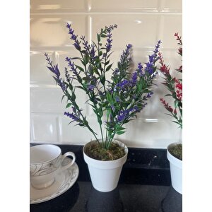 Yapay Çiçek Krem Saksıda 2 Adet Lavanta Mor Ve Kırmızı Renk 28cm