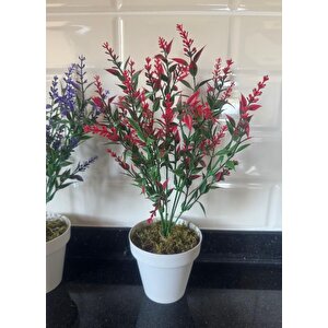 Yapay Çiçek Krem Saksıda 2 Adet Lavanta Mor Ve Kırmızı Renk 28cm