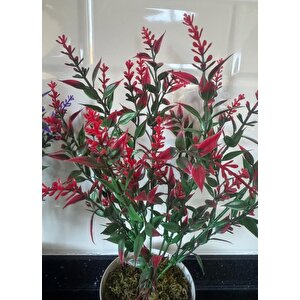 Yapay Çiçek Krem Saksıda 2 Adet Lavanta Mor Ve Kırmızı Renk 28cm