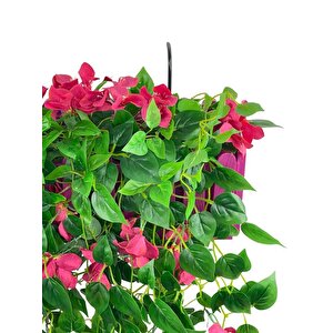 Yapay Çiçek Fuşya Begonvil Li Mor Çit Balkon Saksısı 55*35cm 70cm Sarkar