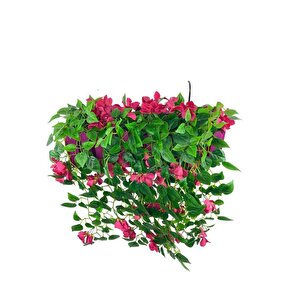 Yapay Çiçek Fuşya Begonvil Li Mor Çit Balkon Saksısı 55*35cm 70cm Sarkar