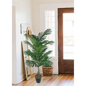 Yapay Ağaç Palmiye 16yaprak Areka Ağacı Siyah Saksıda Tek Gövdeli 150*70cm