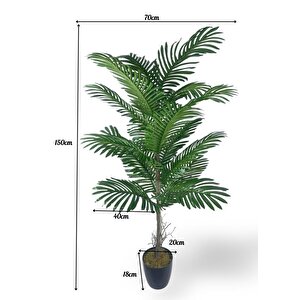 Yapay Ağaç Palmiye 16yaprak Areka Ağacı Siyah Saksıda Tek Gövdeli 150*70cm