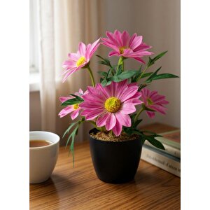 Yapay Çiçek Pembe Margarit Papatya Siyah Saksıda Dekoratif Yapay Çiçek 30*25cm