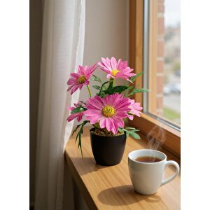 Yapay Çiçek Pembe Margarit Papatya Siyah Saksıda Dekoratif Yapay Çiçek 30*25cm