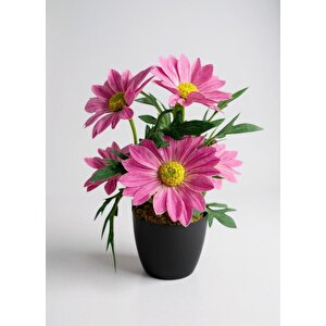Yapay Çiçek Pembe Margarit Papatya Siyah Saksıda Dekoratif Yapay Çiçek 30*25cm