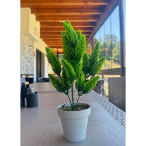 Yapay Çiçek Krem Saksıda Yeşil Kozalaklı Çam Demeti