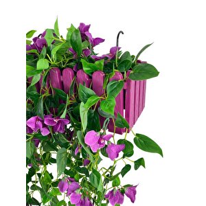 Yapay Çiçek Mor Begonvil Li Mor Çit Balkon Saksısı 55*35cm 70cm Sarkar
