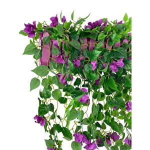 Yapay Çiçek Mor Begonvil Li Mor Çit Balkon Saksısı 55*35cm 70cm Sarkar