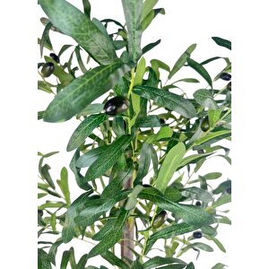 Yapay Zeytin Ağacı 130cm İki Gövdeli Beyaz Küre Saksıda Salex Doğal Gerçek Görünümlü Yapay Ağaç