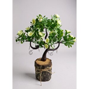 Yapay Çiçek Beyaz Çiçekli Bonsai Ağacı Dekoratif Kütük Saksıda Yapay Ağaç Bonzai Losus Çiçekli