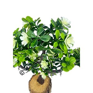 Yapay Çiçek Beyaz Çiçekli Bonsai Ağacı Dekoratif Kütük Saksıda Yapay Ağaç Bonzai Losus Çiçekli