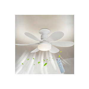 Daisy Fan Led 50w Kumandalı Işıklı Vantilatör hs-9302