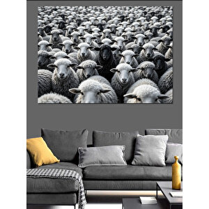 Siyah Beyaz Koyun Sürüsü Dekoratif Kanvas - Mdf Ahşap Tablo 70x100 cm