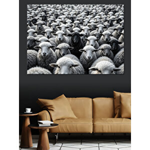 Siyah Beyaz Koyun Sürüsü Dekoratif Kanvas - Mdf Ahşap Tablo 70x100 cm