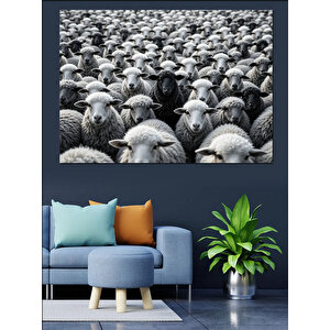 Siyah Beyaz Koyun Sürüsü Dekoratif Kanvas - Mdf Ahşap Tablo 70x100 cm