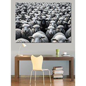 Siyah Beyaz Koyun Sürüsü Dekoratif Kanvas - Mdf Ahşap Tablo
