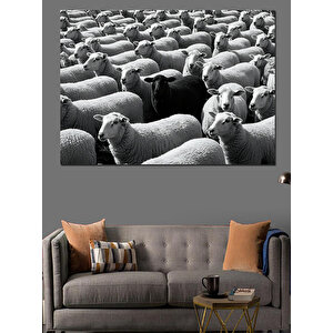 Siyah Beyaz Koyun Sürüsü Dekoratif Kanvas - Mdf Ahşap Tablo 100x140 cm