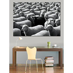 Siyah Beyaz Koyun Sürüsü Dekoratif Kanvas - Mdf Ahşap Tablo 100x140 cm