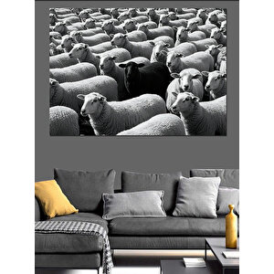 Siyah Beyaz Koyun Sürüsü Dekoratif Kanvas - Mdf Ahşap Tablo 100x140 cm