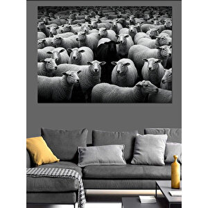Siyah Beyaz Koyunlar Dekoratif Kanvas - Mdf Ahşap Tablo 35x50 cm